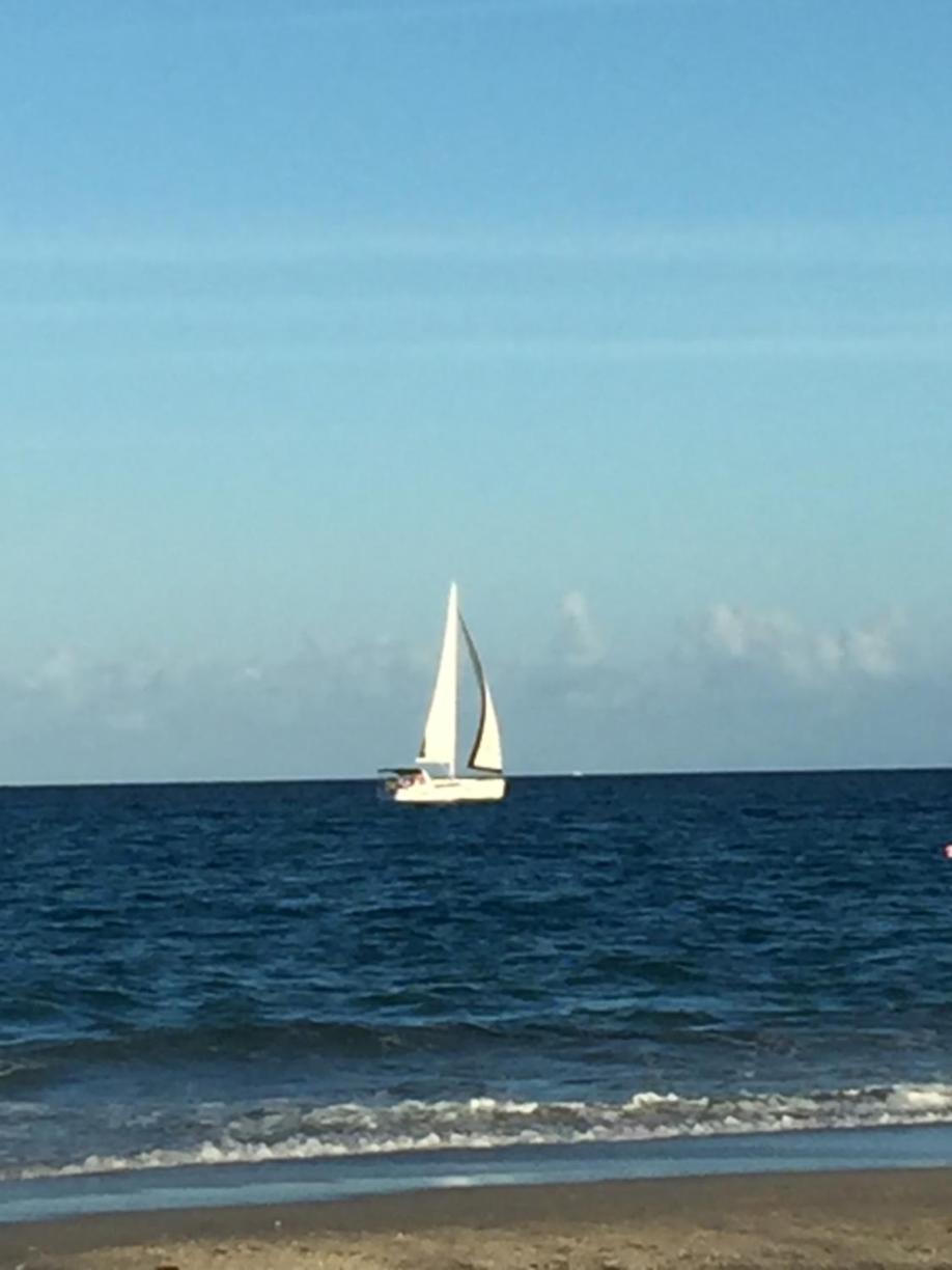Palm Beach Mermaid West Palm Beach Buitenkant foto