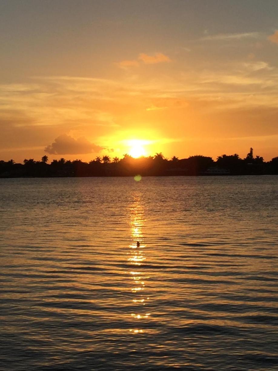 Palm Beach Mermaid West Palm Beach Buitenkant foto